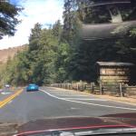 IMG_1118 (May 05, 2023)